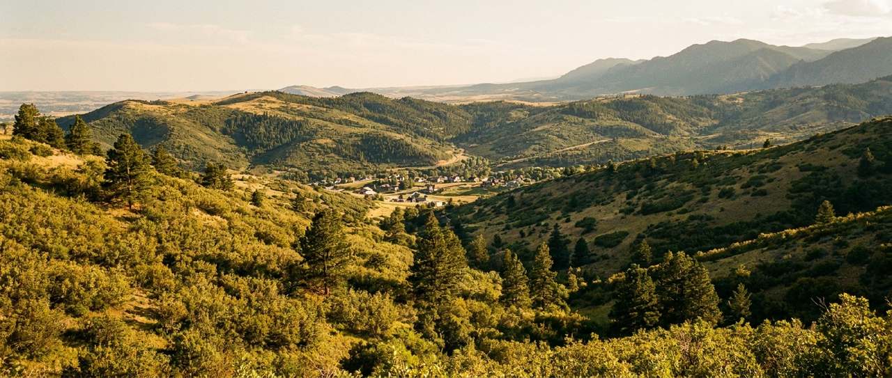 Gambel oak and ponderosa pine covering a foothills ridge west of Colorado Springs